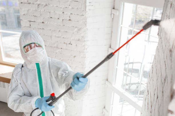 Best Mold Remediation for Healthcare Facilities  in Adrian, MI