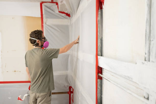 Best Basement Mold Removal  in Adrian, MI