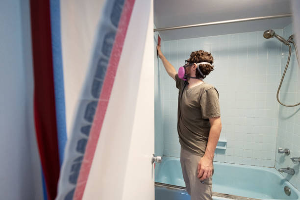 Adrian, MI Mold Removal Company