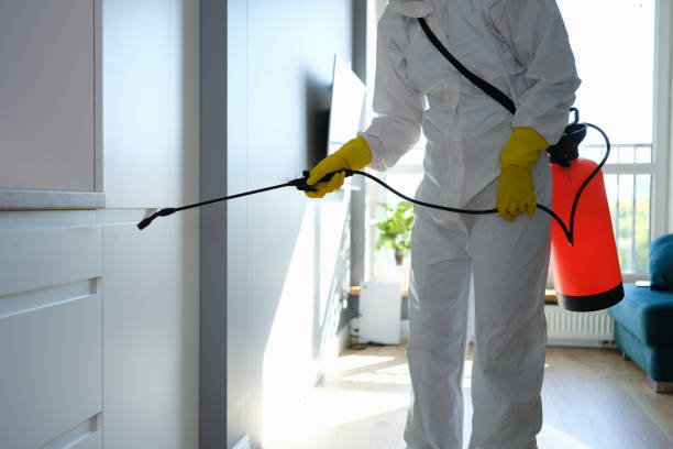 Best Mold Odor Removal Services  in Adrian, MI